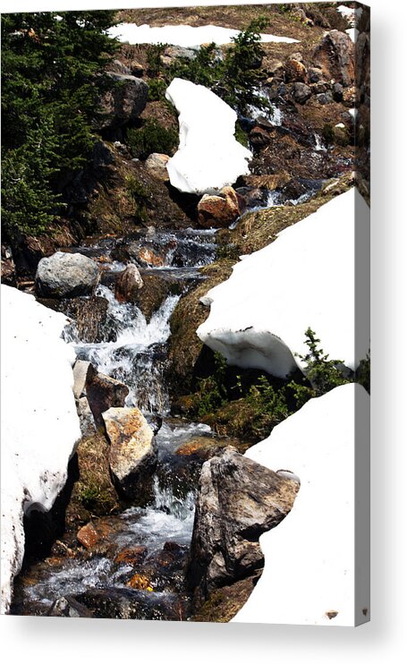Mountain River Acrylic Print featuring the photograph Running Down the Mountain by Edward Hawkins II