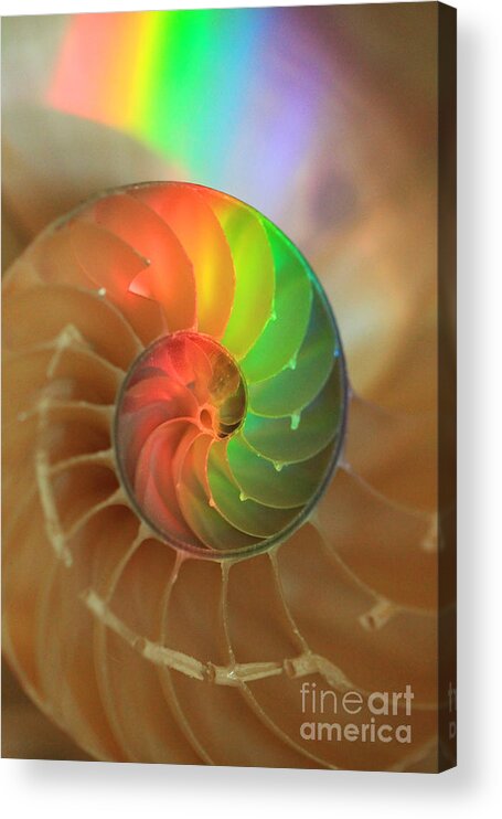 Color Acrylic Print featuring the photograph Sacred Spiral Rainbow by Jeanette French