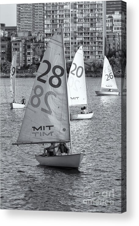 Clarence Holmes Acrylic Print featuring the photograph Sailboats on the Charles River II by Clarence Holmes