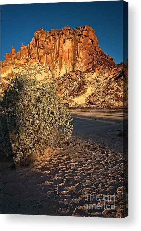 Rainbow Valley Acrylic Print featuring the photograph Salt Bush on Clay Pan at Rainbow Valley by Peter Kneen