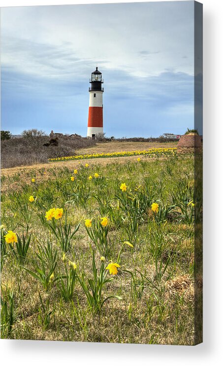 Lighthouse Acrylic Print featuring the photograph Sankaty Lighthouse Nantucket by Donna Doherty