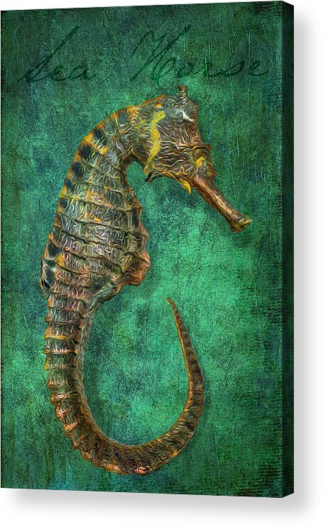 Sea Horse Acrylic Print featuring the digital art Sea Horse by Sandra Selle Rodriguez