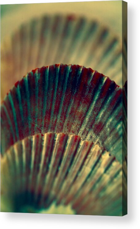 Sea Shells Acrylic Print featuring the photograph Sea Shell Art 2 by Bonnie Bruno