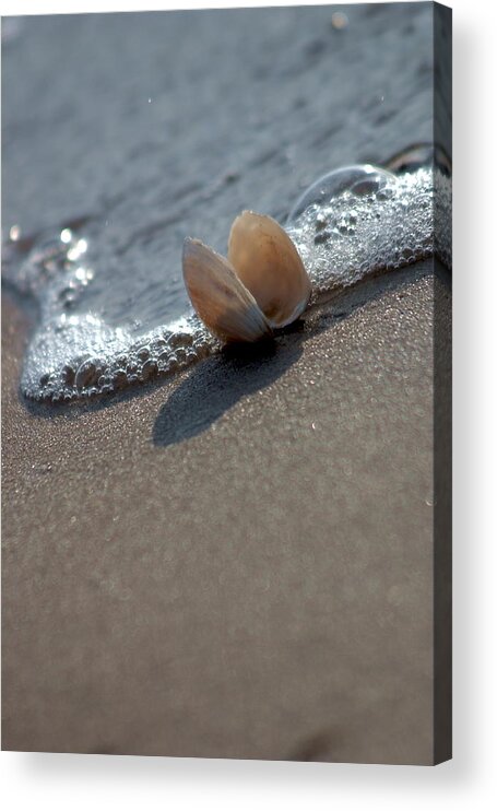 Outdoor Acrylic Print featuring the photograph Seashell On The Coast With Wave by Raimond Klavins