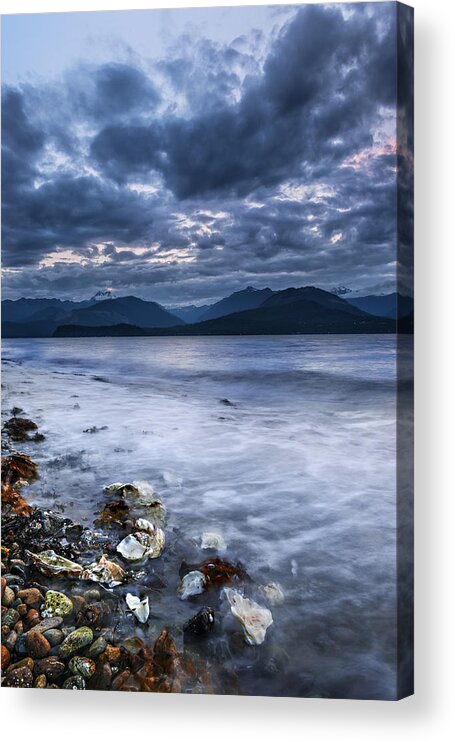 Olympic National Park Acrylic Print featuring the photograph Seashells and Pebbles by Ryan Manuel