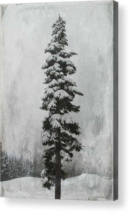 Winter Acrylic Print featuring the photograph Sentinel by Marilyn Wilson