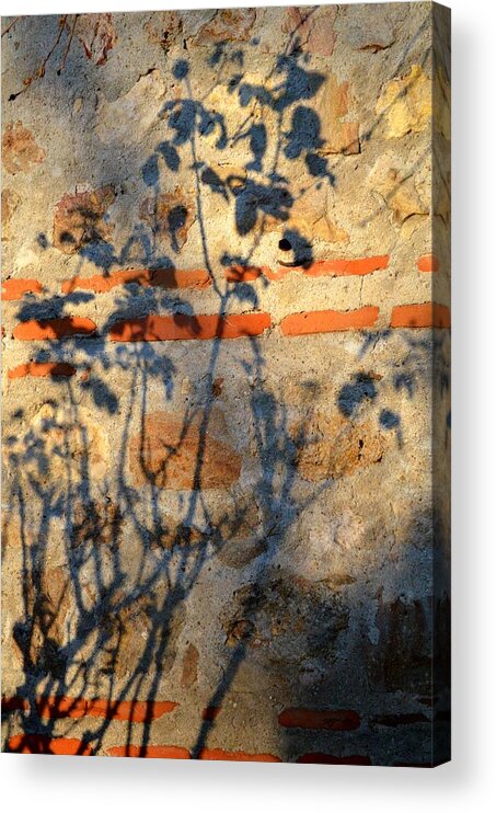 Shadow Acrylic Print featuring the photograph Shadows on the wall by Rumiana Nikolova