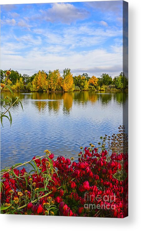 City Park Acrylic Print featuring the photograph Sheldon Lake by Baywest Imaging