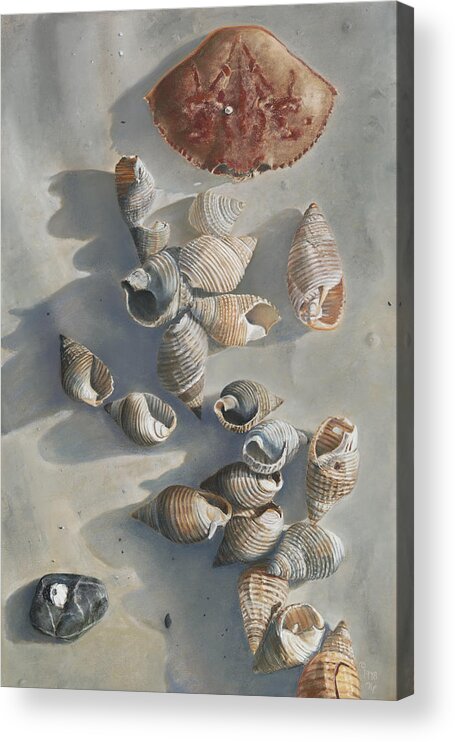 Birdseye Art Studio Acrylic Print featuring the painting Shells on a Sandy Beach by Nick Payne