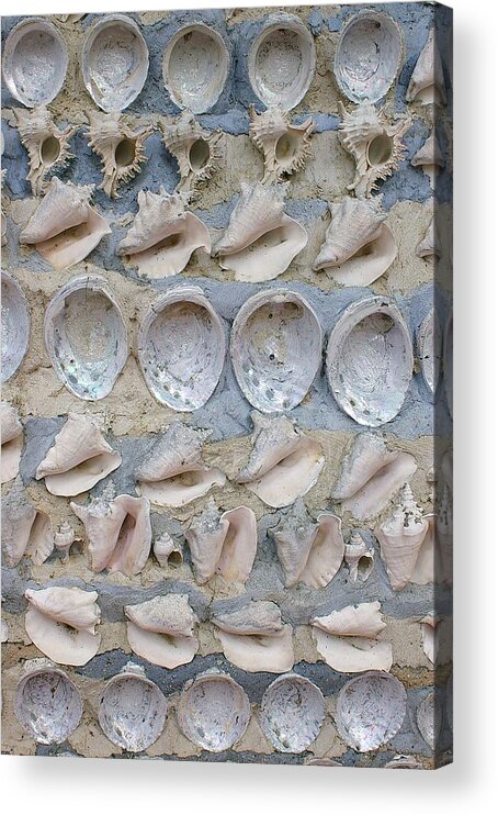 Michigan Acrylic Print featuring the photograph Shells by Randy Pollard