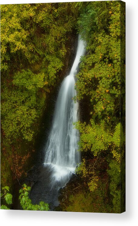 Waterfall Acrylic Print featuring the photograph Shepperds Dell Dreams by Jon Ares