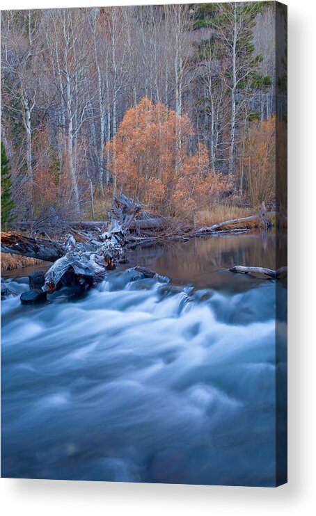 Nature Acrylic Print featuring the photograph Silence Of The Fall by Jonathan Nguyen