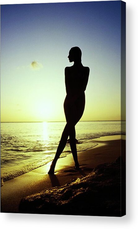 Beauty Acrylic Print featuring the photograph Silhouette Of Marisa Berenson Nude by Arnaud de Rosnay
