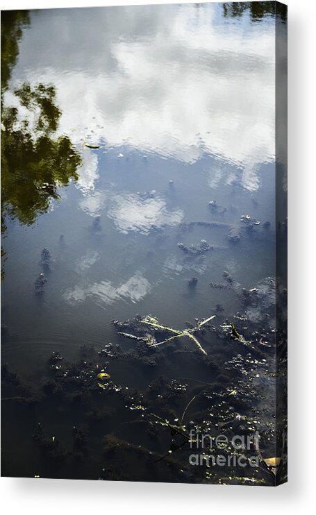 Sky; Water; Reflections; Lake; Pond; Clouds; Cloudy; Trees; Side; Debris; Grasses; Mud; Abstract; View; Lovely; Serene; Pretty; Moss; Algae; Reflecting; Ripples; Shallow Acrylic Print featuring the photograph Sky Reflections by Margie Hurwich