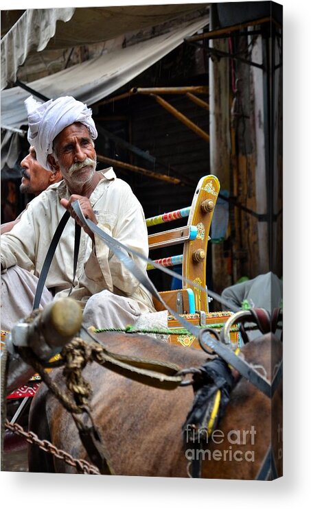 Man Acrylic Print featuring the photograph Smiling man drives horse carriage in Lahore Pakistan by Imran Ahmed