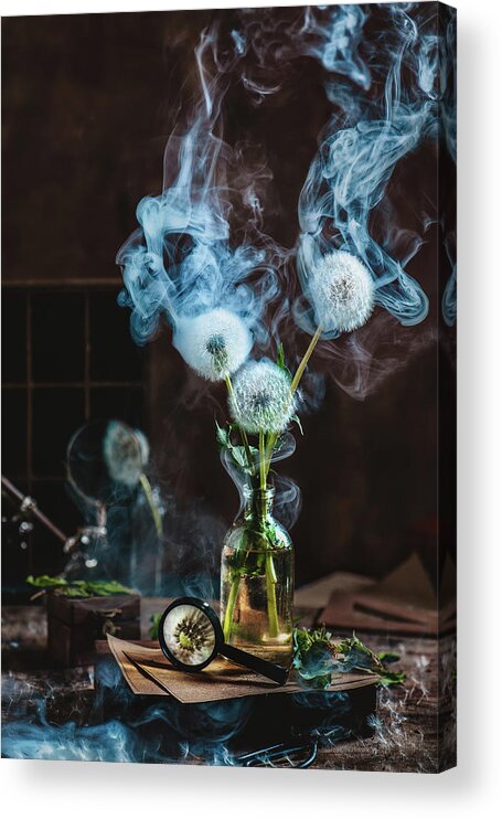 Smoke Acrylic Print featuring the photograph Smoakin' Summer by Dina Belenko