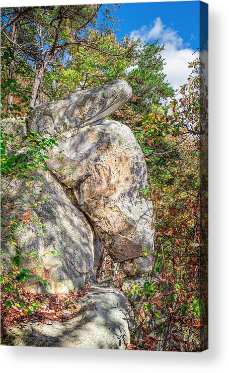 Cumberland Gap National Historical Park Acrylic Print featuring the photograph Snake Rock in Autumn by Mary Almond