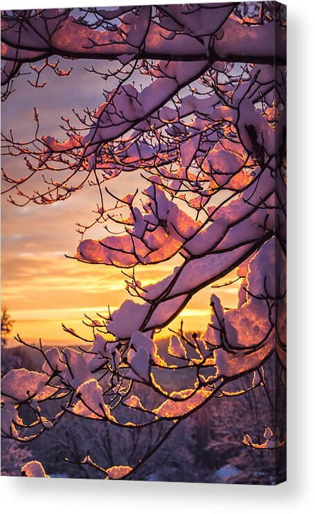 Chattanooga Acrylic Print featuring the photograph Snow On Branches by Steven Llorca