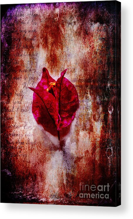 Flower Acrylic Print featuring the photograph Solitude by Randi Grace Nilsberg
