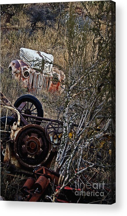 Leecraig Acrylic Print featuring the photograph Some Ford in the Weeds by Lee Craig