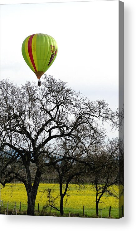 Springtime Acrylic Print featuring the photograph Sonoma Hot Air Balloon over Mustard Field by Sciandra 