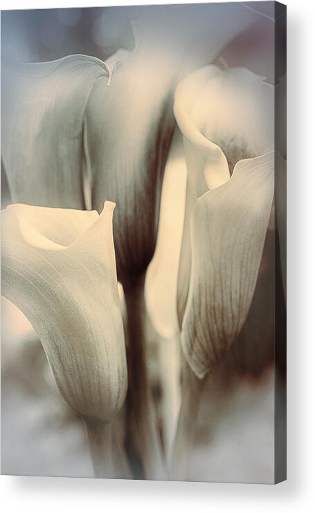 Flower Acrylic Print featuring the photograph Speaking Softly by Darlene Kwiatkowski