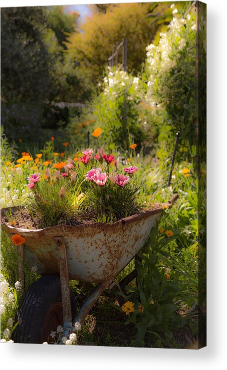 Spring Acrylic Print featuring the photograph Spring Barrow by Michael Hope