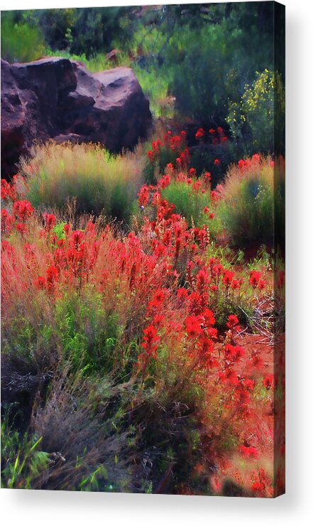 Utah Acrylic Print featuring the photograph Spring Blooms by Barbara Manis