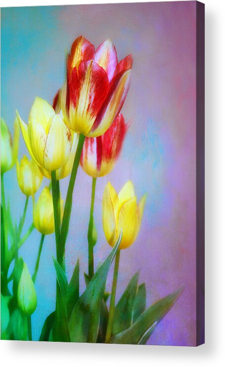 Tulip Acrylic Print featuring the photograph Spring Dance - Tulips by Nikolyn McDonald