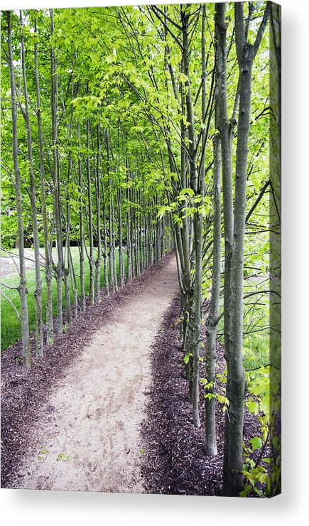 Landscape Acrylic Print featuring the photograph Spring by Paul Ross