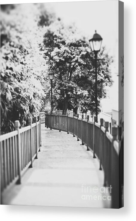 Photography Acrylic Print featuring the photograph Stairway to Heaven by Ivy Ho