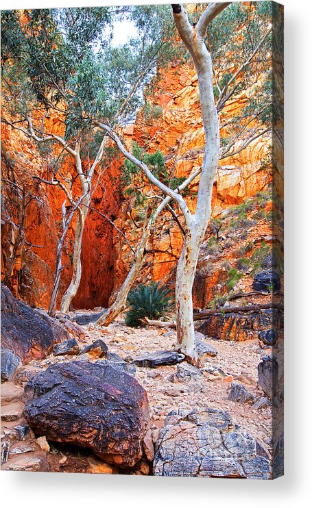 Stanley Chasm Outback Central Australia Landscape Northern Territory Australian West Mcdonnell Ranges Acrylic Print featuring the photograph Stanley Chasm by Bill Robinson
