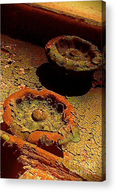 Steel Acrylic Print featuring the photograph Steel Flowers by James Aiken