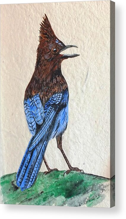 Stellar Jay Acrylic Print featuring the painting Stellar by Jennifer Lake