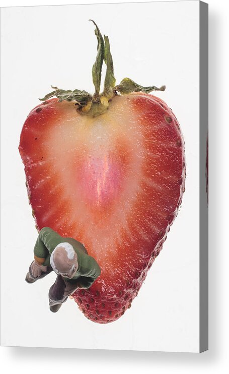 Strawberry Acrylic Print featuring the photograph Strawberry Seat by Tony Locke
