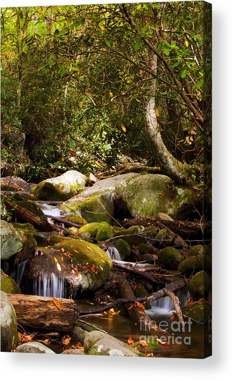 Stream Acrylic Print featuring the photograph Stream at Roaring Fork by Lena Auxier