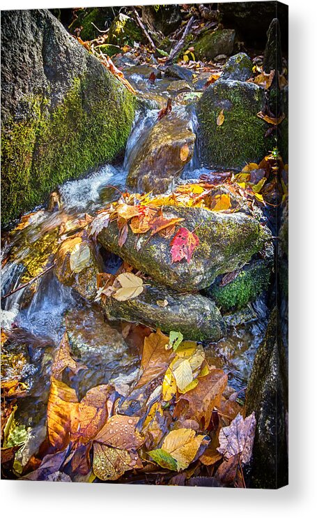 Fall Acrylic Print featuring the photograph Streaming Leaves by Alan Raasch