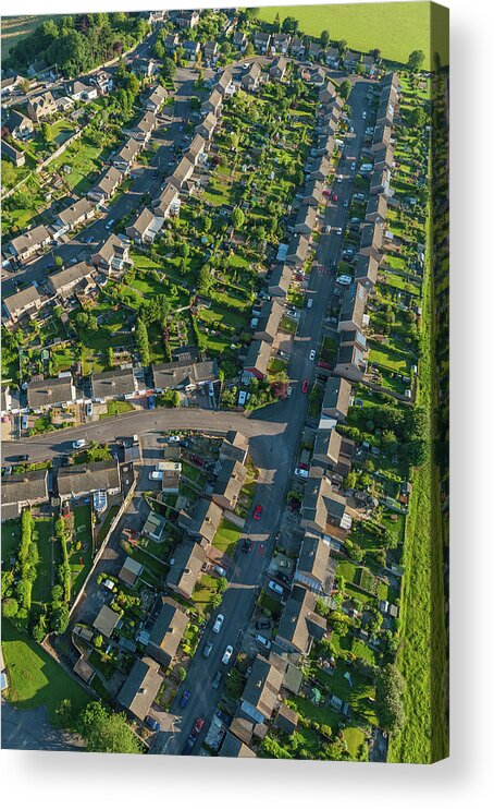 Row House Acrylic Print featuring the photograph Summer Suburb Streets Homes Green by Fotovoyager