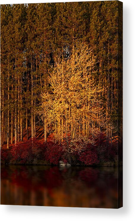 Autumn Acrylic Print featuring the photograph Summers End by Susan Candelario