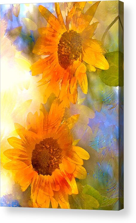 Floral Acrylic Print featuring the photograph Sunflower 26 by Pamela Cooper