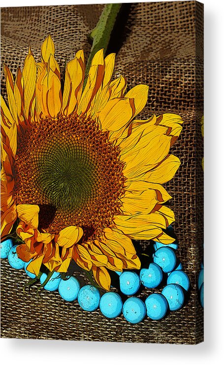 Sunflower Acrylic Print featuring the photograph Sunflower Burlap And Turquoise by Phyllis Denton