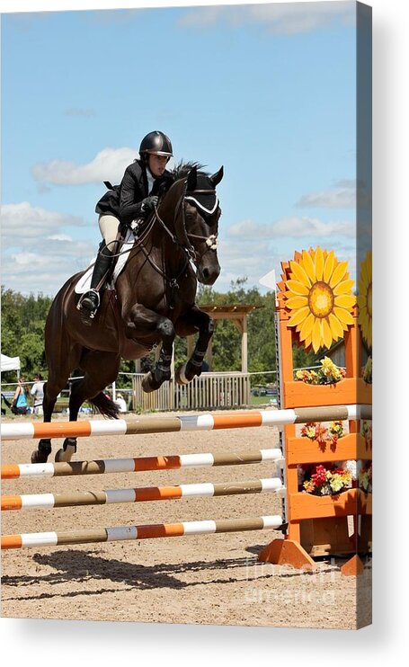 Horse Acrylic Print featuring the photograph Sunflower Jumper by Janice Byer