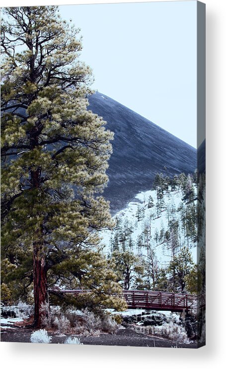 Sunset Crater National Monument Acrylic Print featuring the photograph Sunset Crater National Monument V8 by Douglas Barnard