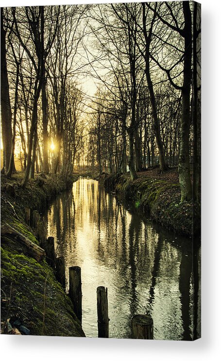 Sun Acrylic Print featuring the photograph Sunset over stream by Mike Santis