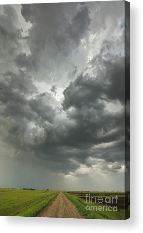 00559186 Acrylic Print featuring the photograph Sunset Storm Clouds Billowing #1 by Yva Momatiuk John Eastcott