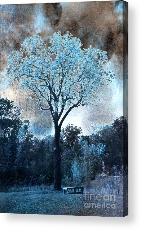 Blue Nature Photos Acrylic Print featuring the photograph Surreal Fantasy Dreamy Blue Fairytale Tree Nature Landscape - Surreal Solarized Blue Trees by Kathy Fornal