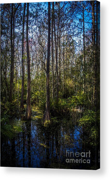 Swampland Acrylic Print featuring the photograph Swampland by Marvin Spates