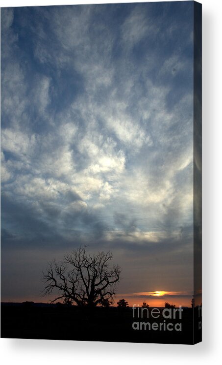Sunset Acrylic Print featuring the photograph Swirled Sky Sunsets by Anjanette Douglas