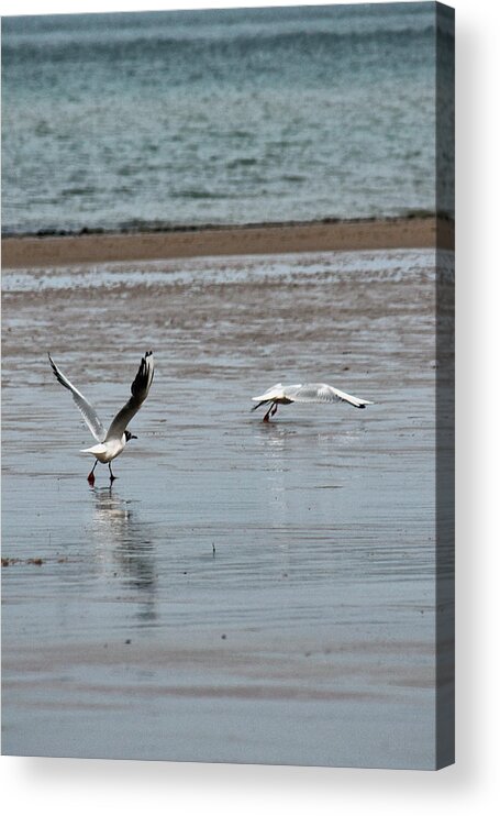 Beach Acrylic Print featuring the photograph Take off by Pedro Fernandez