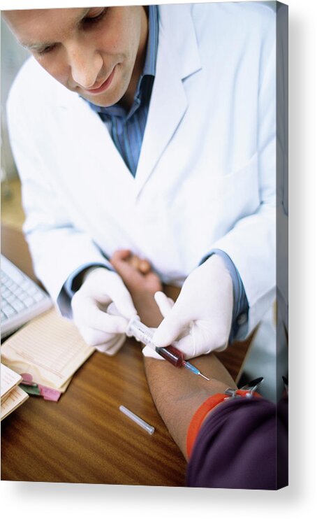 Equipment Acrylic Print featuring the photograph Taking Blood by Ian Hooton/science Photo Library